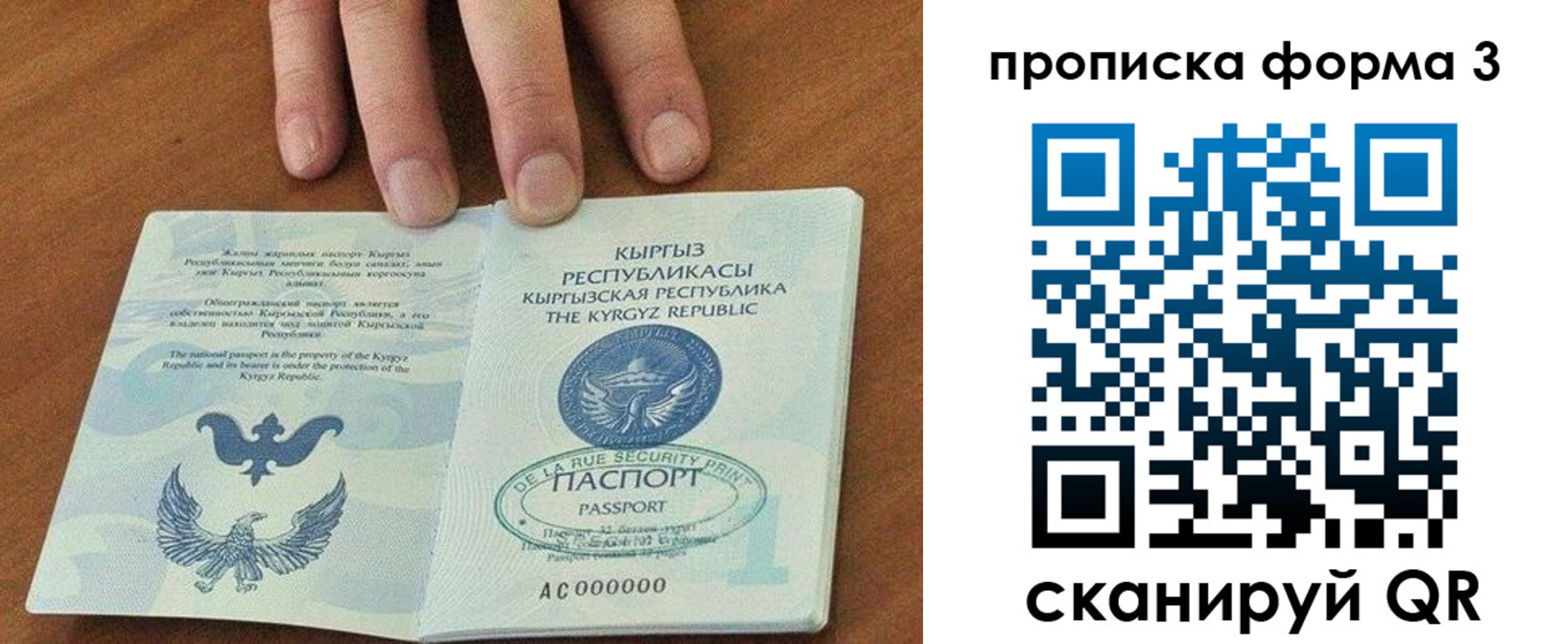 прописка 2025 в Кораблино